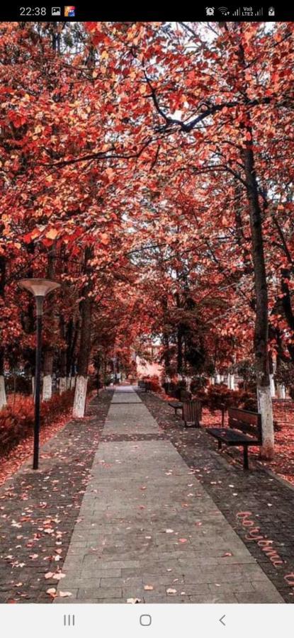 Gamsakhurdia Street Borjomi Ngoại thất bức ảnh
