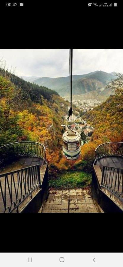Gamsakhurdia Street Borjomi Ngoại thất bức ảnh