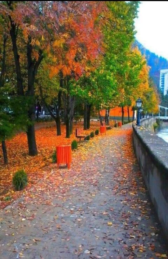 Gamsakhurdia Street Borjomi Ngoại thất bức ảnh