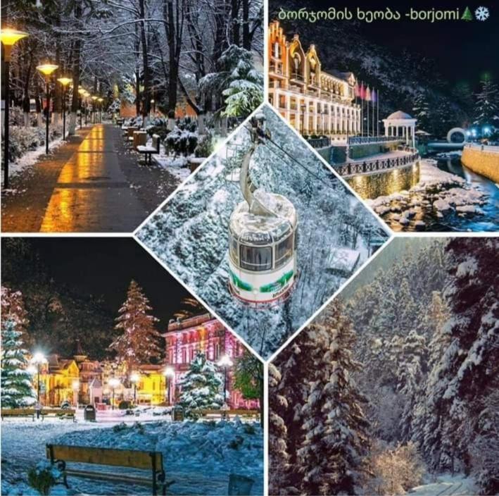 Gamsakhurdia Street Borjomi Ngoại thất bức ảnh