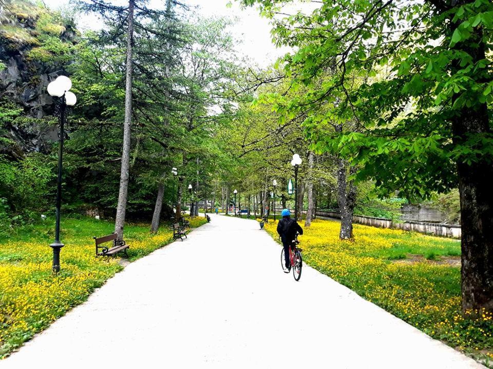 Gamsakhurdia Street Borjomi Ngoại thất bức ảnh