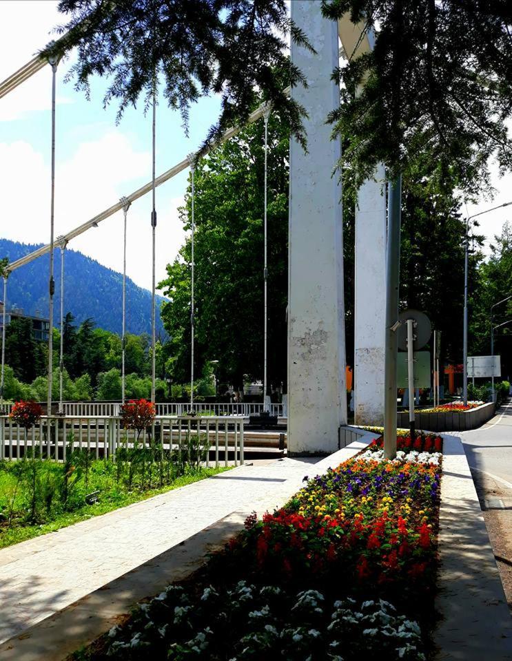 Gamsakhurdia Street Borjomi Ngoại thất bức ảnh